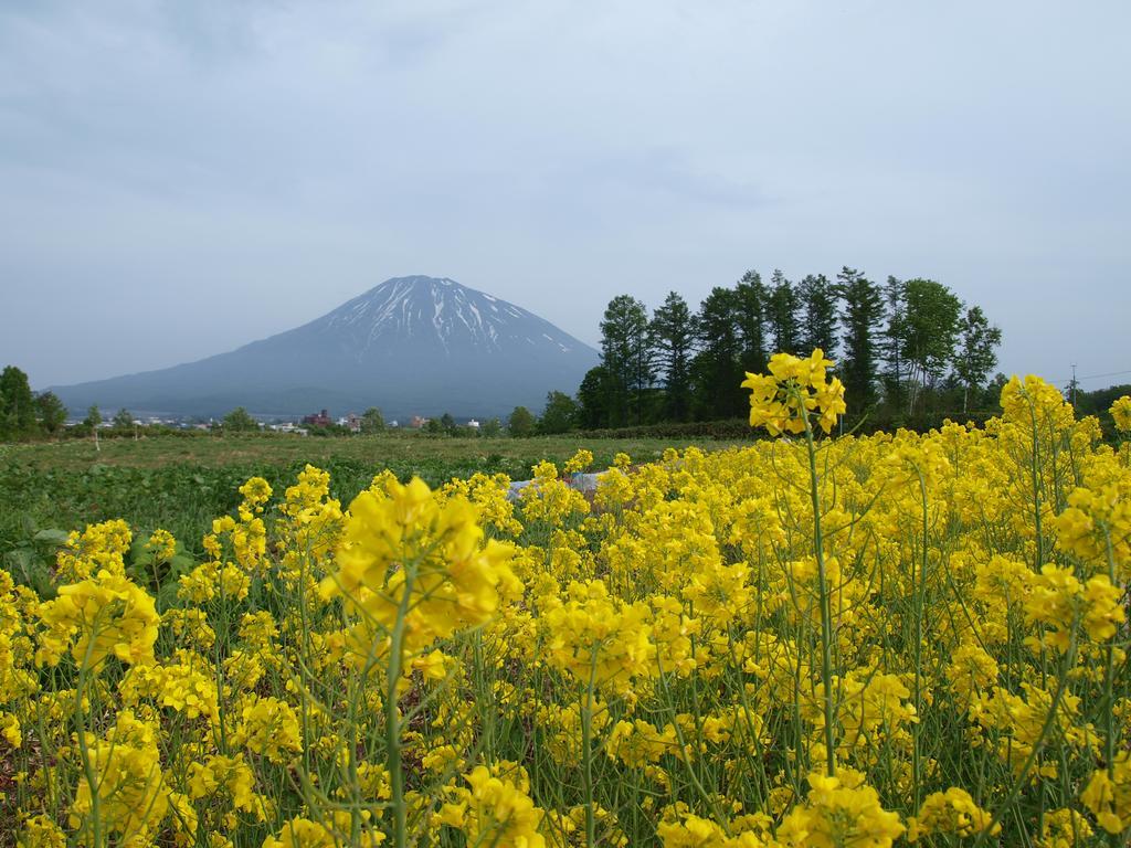 Niseko Tabi-Tsumugi Backpackers Hostel Кучан Екстериор снимка