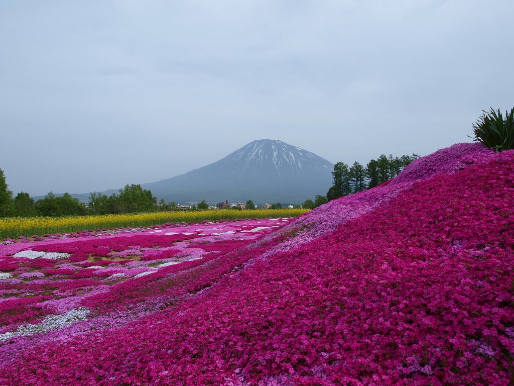 Niseko Tabi-Tsumugi Backpackers Hostel Кучан Екстериор снимка